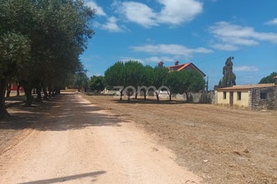 /international/pt/cantanhede-coimbra-310095887041/?lang=zh-tw