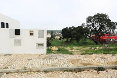 /international/pt/sado-setubal-municipality-310100106872/