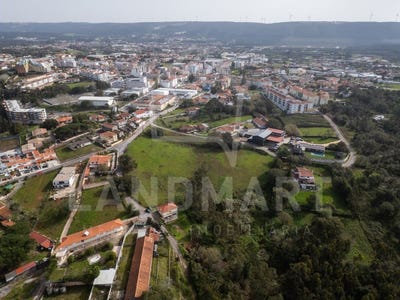 /international/pt/benedita-leiria-310104319352/