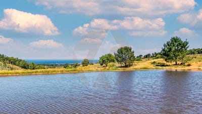 /international/pt/beja-beja-310099740211/