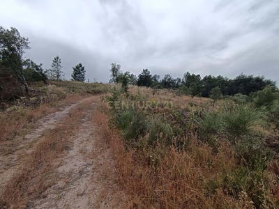 /international/pt/vc9x-v4-castelo-branco-portugal-salgueiro-do-campo-castelo-branco-310105229597/