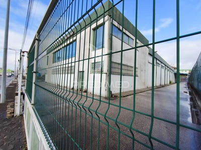/international/pt/oia-oliveira-do-bairro-aveiro-310105746274/