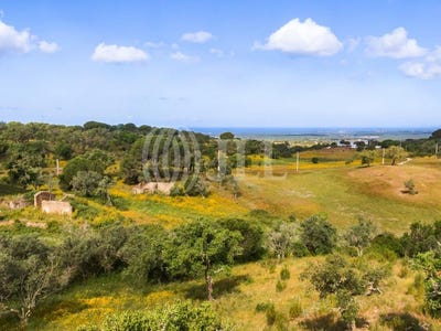 /international/pt/melides-setubal-municipality-120090445900/