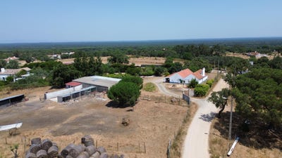 /international/pt/grandola-setubal-municipality-310105991462/