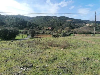 /international/pt/ribeira-de-odelouca-sao-barnabe-beja-310105029691/