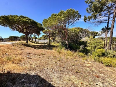/international/pt/almancil-faro-310108377587/
