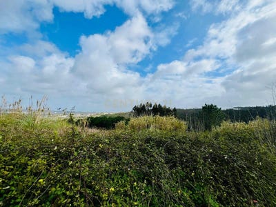 /international/pt/r-da-eira-5-a-dos-negros-portugal-a-dos-negros-leiria-310108001882/