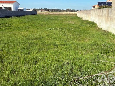 /international/pt/santarem-santarem-310106043786/