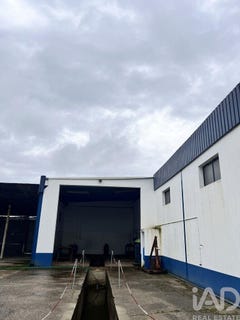 /international/pt/setubal-setubal-municipality-310107184705/