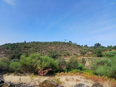 /international/pt/viana-do-castelo-viana-do-castelo-310109019168/