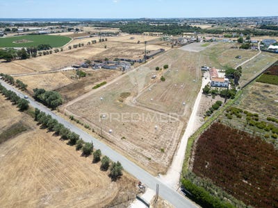 /international/pt/sao-francisco-alcochete-setubal-municipality-310102270950/