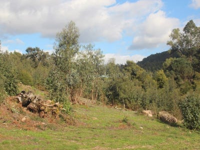 /international/pt/santo-tirso-braga-310106108030/