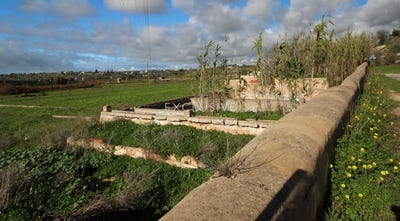 /international/pt/faro-faro-310104113187/