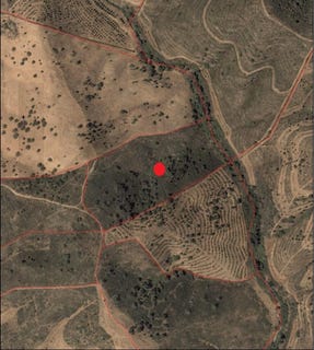 /international/pt/santana-da-serra-beja-310105536756/