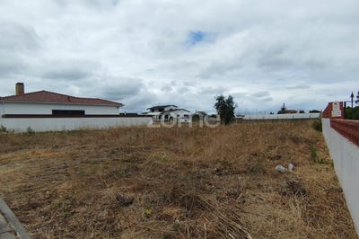 /international/pt/marinha-grande-leiria-310100904502/