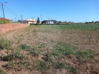 /international/pt/aveiro-aveiro-310107362066/