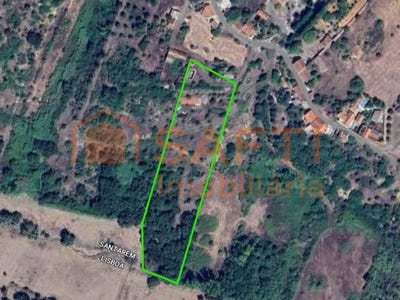 /international/pt/almoster-santarem-310106415438/