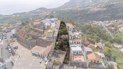 /international/pt/funchal-madeira-310108759946/?lang=zh-cn
