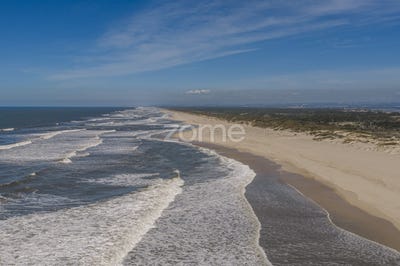 /international/pt/murtosa-aveiro-310105242119/
