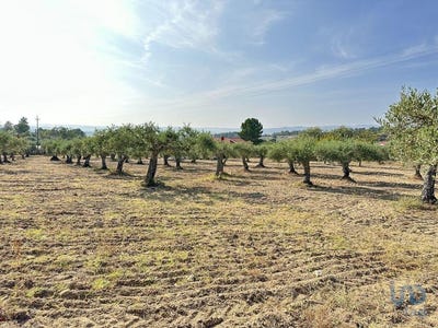 /international/pt/guarda-guarda-310099216644/