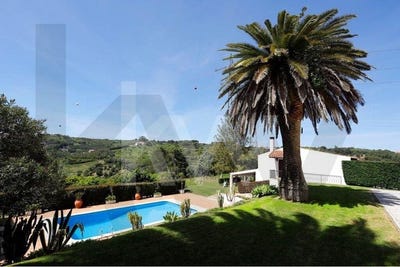/international/pt/vila-franca-de-xira-lisbon-310106913425/