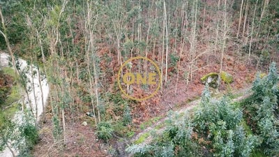 /international/pt/braga-braga-310108154675/