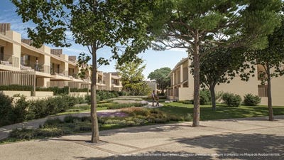 /international/pt/sines-setubal-municipality-310102643504/