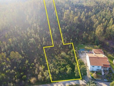 /international/pt/pico-serpins-coimbra-310108483242/