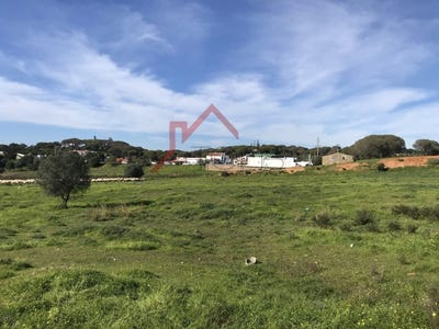 /international/pt/porches-faro-310103583444/