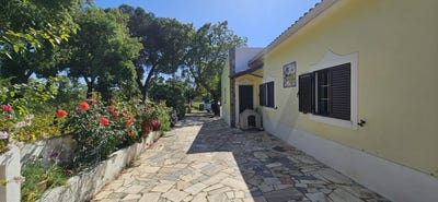 /international/pt/santiago-do-cacem-setubal-municipality-310102109197/