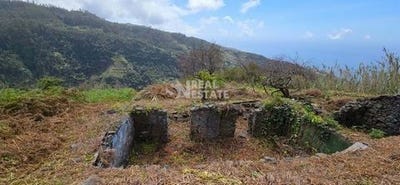 /international/pt/ribeira-brava-madeira-310101534067/