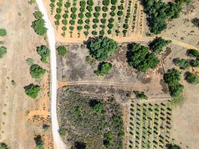 /international/pt/silves-faro-310108891821/?lang=de