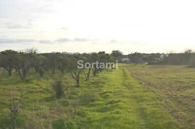 /international/pt/albufeira-faro-310107216367/