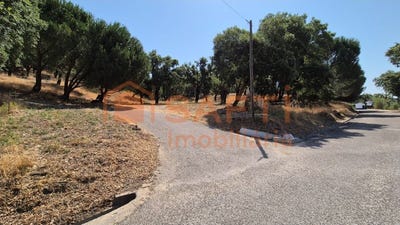 /international/pt/bemposta-beja-310100665833/