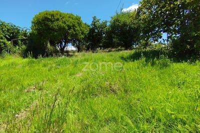 /international/pt/pombal-braga-310101105060/