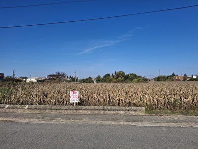 /international/pt/aveiro-aveiro-310102634154/