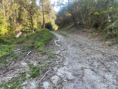 /international/pt/cabreiro-leiria-310107577492/
