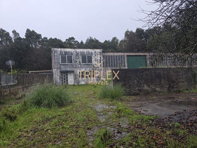 /international/pt/maia-porto-310108243089/