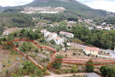 /international/pt/mondim-de-basto-vila-real-310107977050/