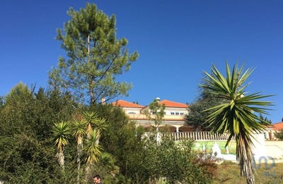 /international/pt/lisboa-lisbon-310096476682/