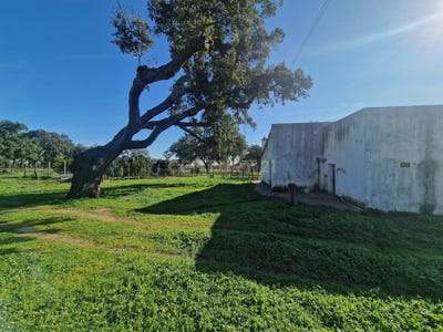 /international/pt/abela-santiago-do-cacem-portugal-abela-setubal-municipality-310105184527/