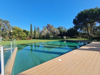 /international/pt/quarteira-lisbon-310098369176/