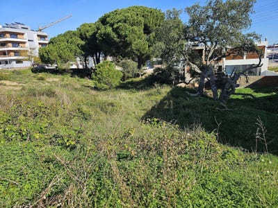 /international/pt/setubal-sao-sebastiao-setubal-municipality-310100669309/