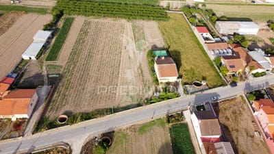 /international/pt/sepins-e-bolho-cantanhede-coimbra-310108214296/