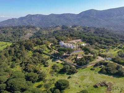 /international/pt/setubal-setubal-municipality-310100794720/