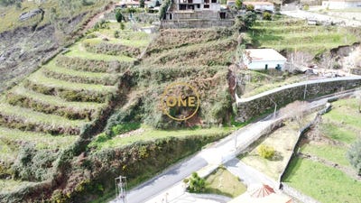 /international/pt/passo-braga-310106409585/