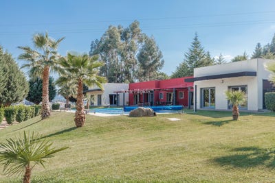 /international/pt/tortosendo-castelo-branco-310107520690/