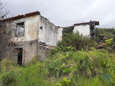 /international/pt/santa-cruz-setubal-municipality-120098099282/