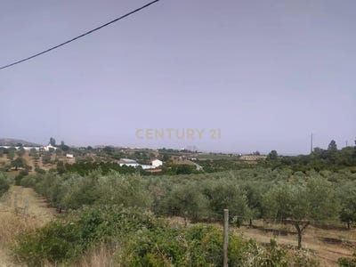 /international/pt/sao-bras-e-sao-lourenco-portalegre-310101034813/