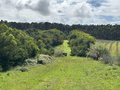 /international/pt/peniche-leiria-310100460024/